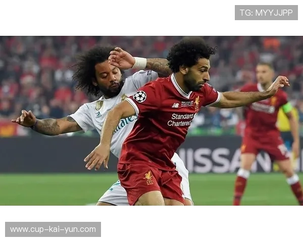 欧冠现场：球迷自制创意应援旗帜盘点，球赛应援牌